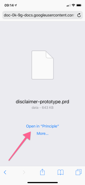 Open_in_Principle.png